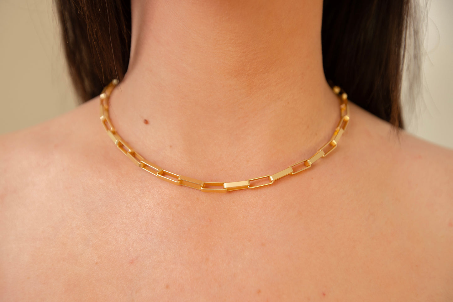 Matte Gold Chain Link Layering Necklace