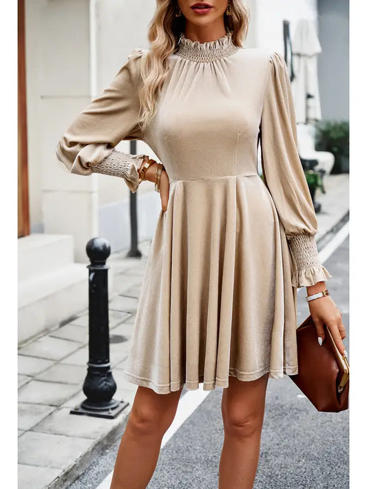 Elegant Champagne Velvet Dress
